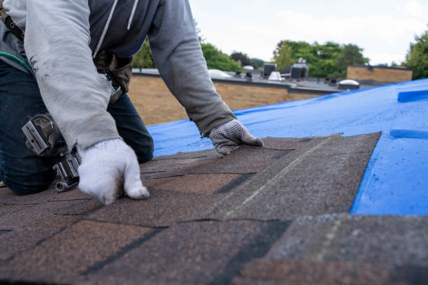 Best Metal Roofing Contractor  in Felton, CA